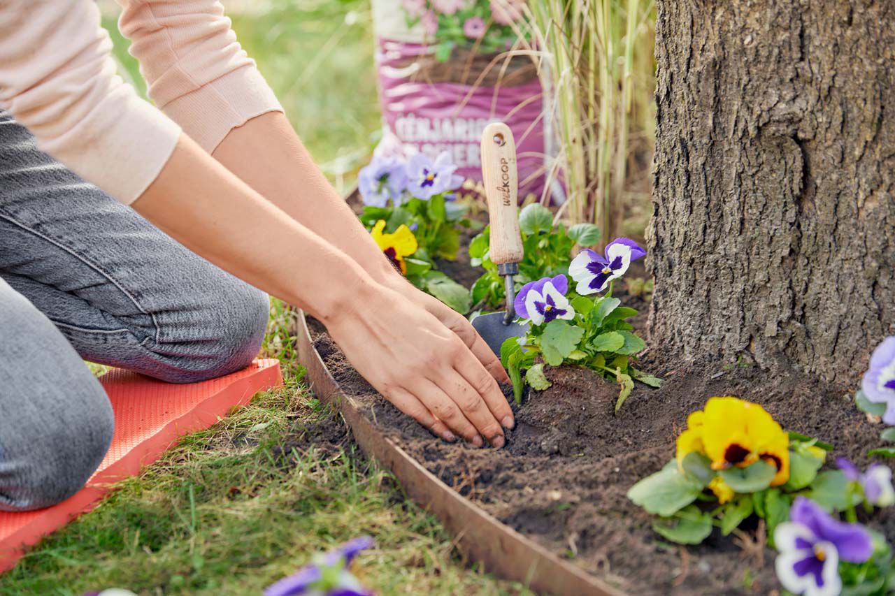 Tuinkalender maart Tuinkalender maart